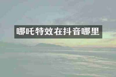 哪吒特效在抖音哪里