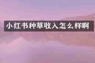 小红书种草收入怎么样啊