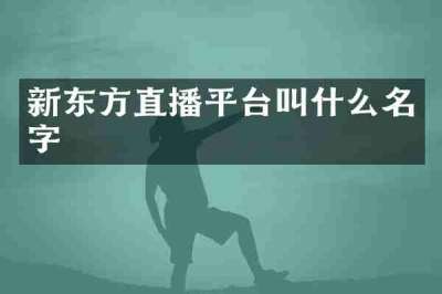 新东方直播平台叫什么名字