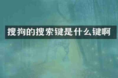 搜狗的搜索键是什么键啊