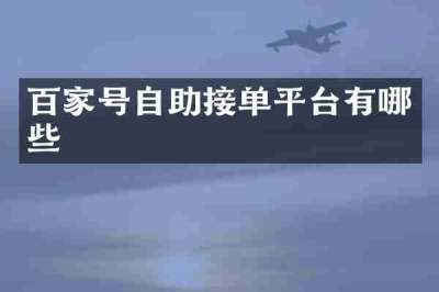百家号自助接单平台有哪些