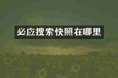 必应搜索快照在哪里