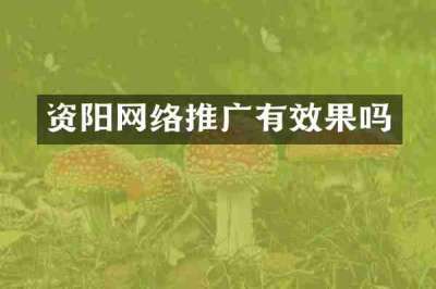 资阳网络推广有效果吗