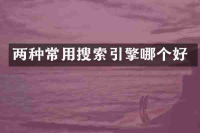 两种常用搜索引擎哪个好