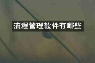 流程管理软件有哪些