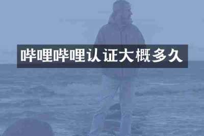 哔哩哔哩认证大概多久