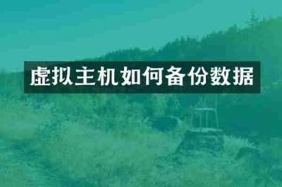 虚拟主机如何备份数据