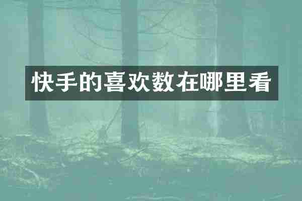 快手的喜欢数在哪里看