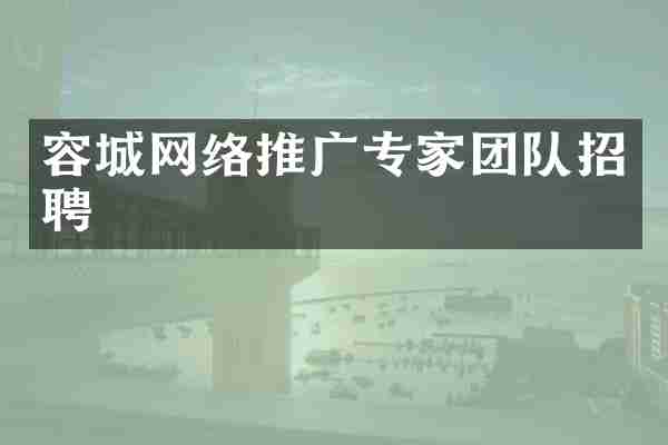 容城网络推广专家团队招聘