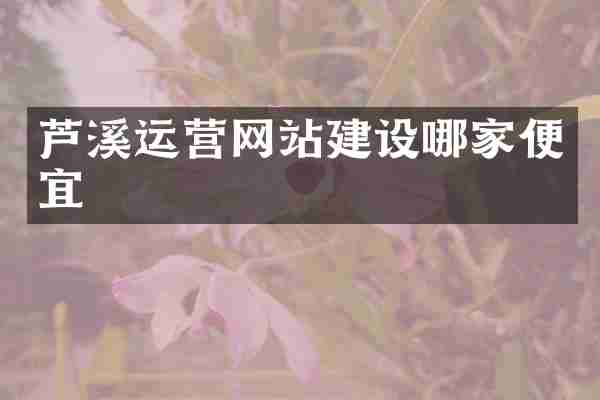芦溪运营网站建设哪家便宜