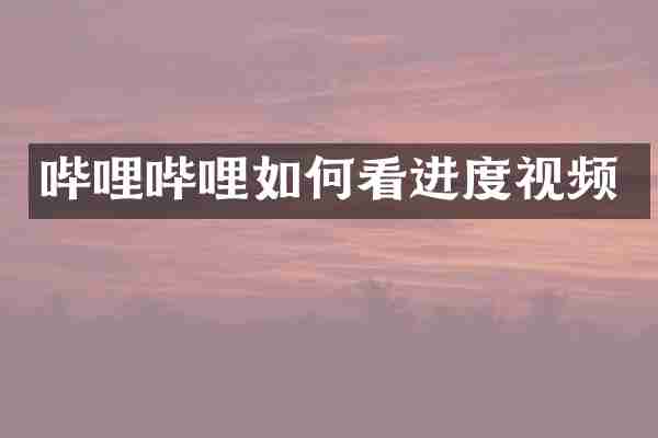 哔哩哔哩如何看进度视频