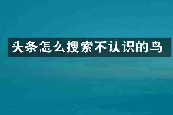 头条怎么搜索不认识的鸟
