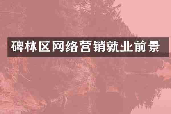 碑林区网络营销就业前景