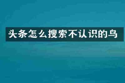 头条怎么搜索不认识的鸟