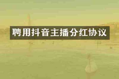 聘用抖音主播分红协议