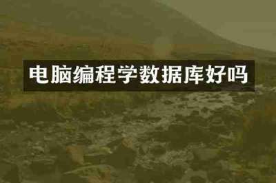电脑编程学数据库好吗