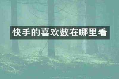 快手的喜欢数在哪里看