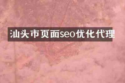 汕头市页面seo优化代理