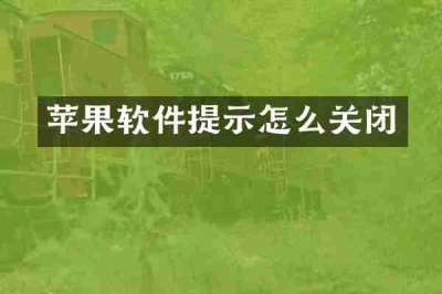 苹果软件提示怎么关闭