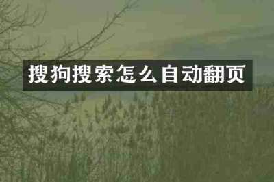 搜狗搜索怎么自动翻页