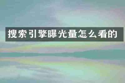 搜索引擎曝光量怎么看的