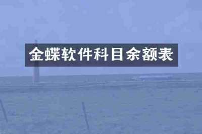 金蝶软件科目余额表