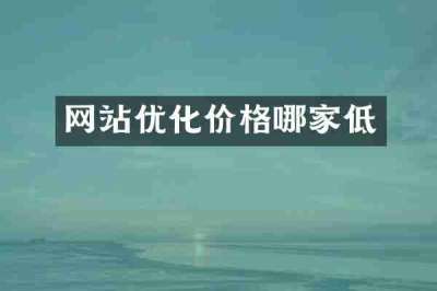 网站优化价格哪家低