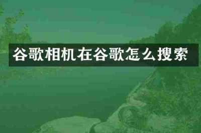 谷歌相机在谷歌怎么搜索