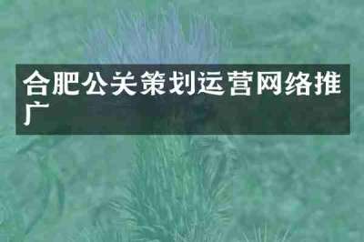 合肥公关策划运营网络推广