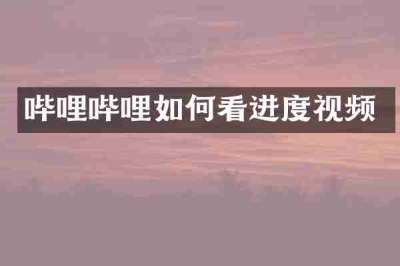 哔哩哔哩如何看进度视频