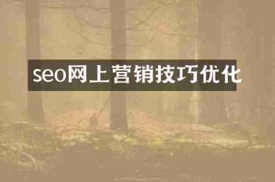 seo网上营销技巧优化