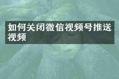 如何关闭微信视频号推送视频