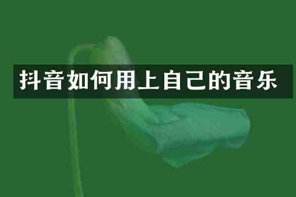 抖音如何用上自己的音乐
