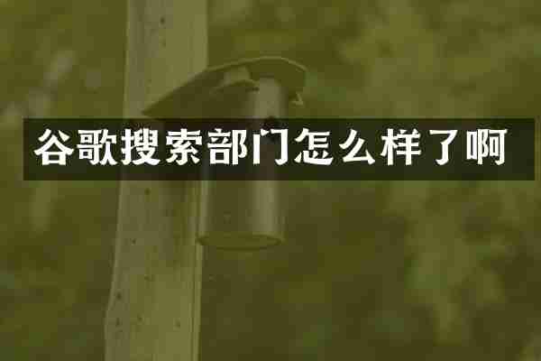 谷歌搜索部门怎么样了啊