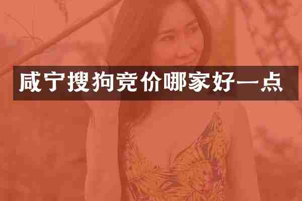 咸宁搜狗竞价哪家好一点