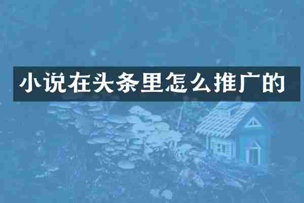 小说在头条里怎么推广的