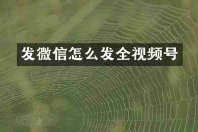 发微信怎么发全视频号