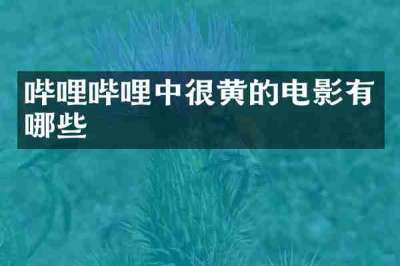 哔哩哔哩中很黄的电影有哪些