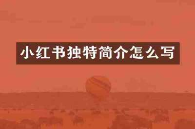 小红书独特简介怎么写