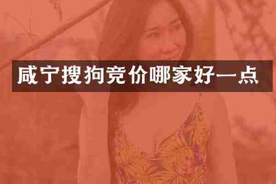 咸宁搜狗竞价哪家好一点