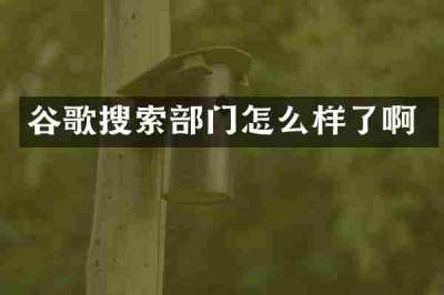 谷歌搜索部门怎么样了啊