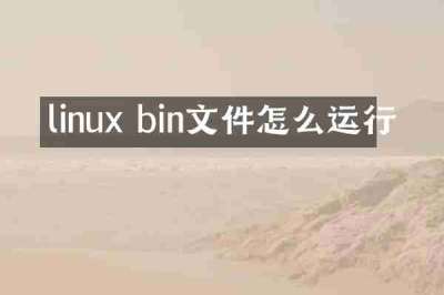 linux bin文件怎么运行