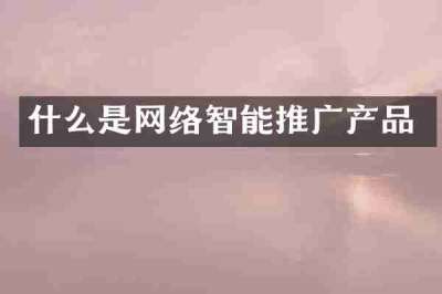 什么是网络智能推广产品