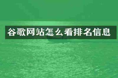 谷歌网站怎么看排名信息
