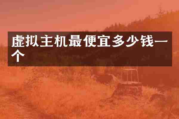 虚拟主机多少钱一个