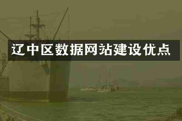 辽中区数据网站建设优点