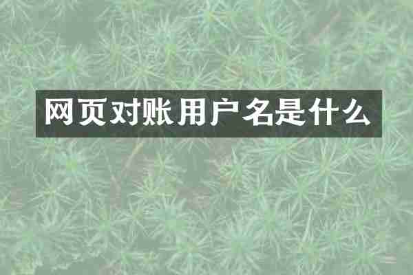 网页对账用户名是什么