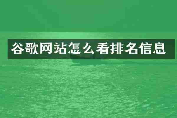 谷歌网站怎么看排名信息
