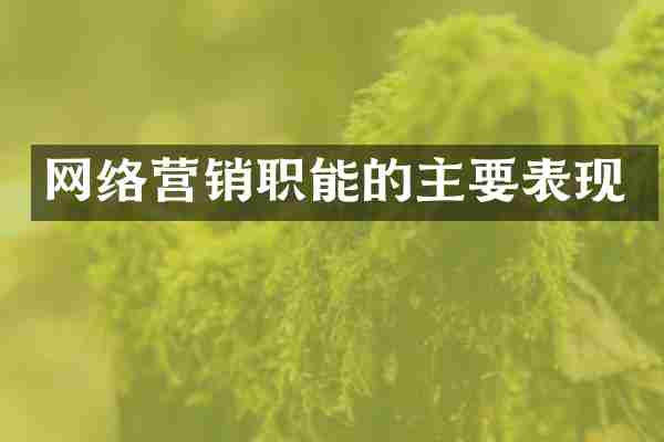 网络营销职能的主要表现