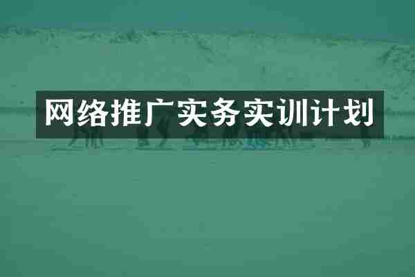 网络推广实务实训计划